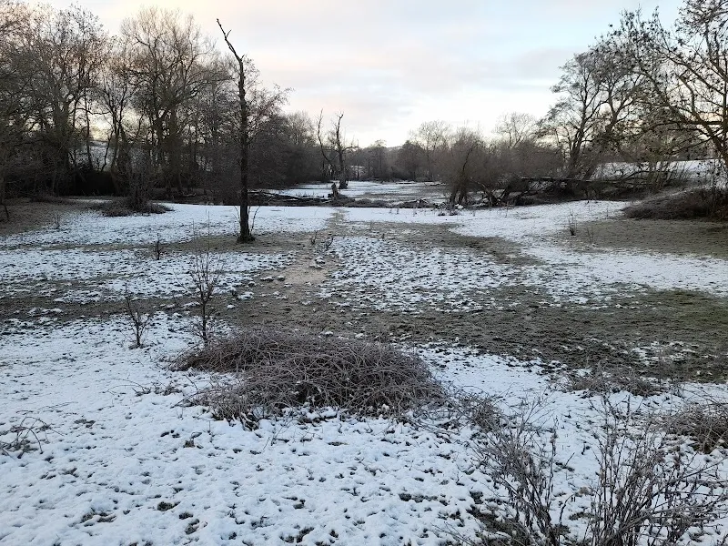 Doggy Daycare's STAY and PLAY Field
