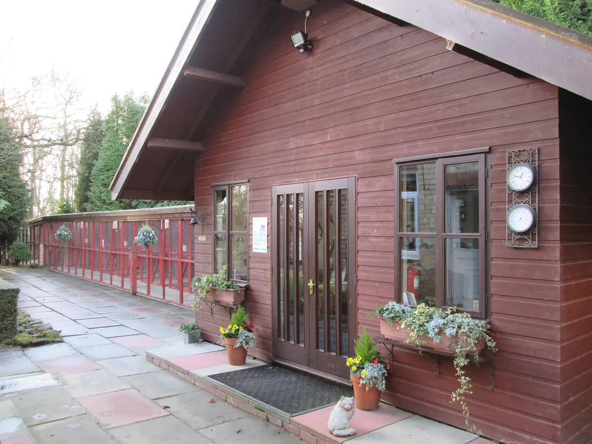 Ferndene Cattery, Morpeth - Photo 2 of 2