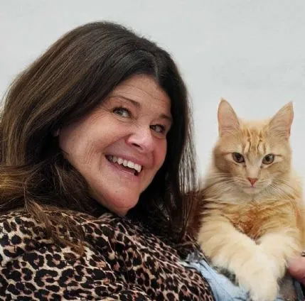 Longcroft Luxury Cat Hotel Chelmsford, Chelmsford - Photo 1 of 3