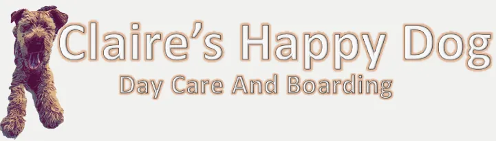 Claire’s Happy Dog Day Care and Boarding, Bristol - Photo 2 of 2