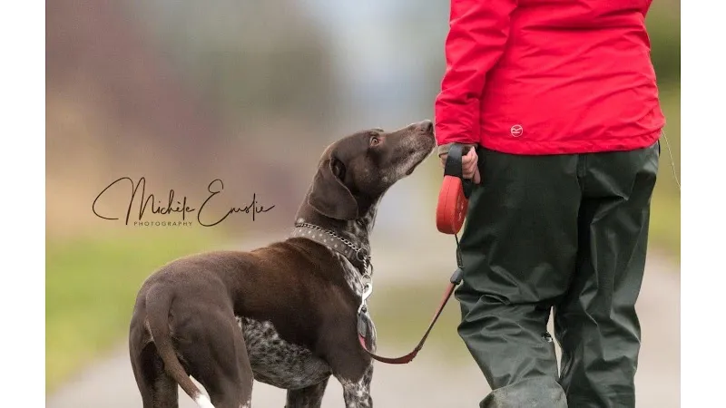 Kinmundy Kennels & Cattery