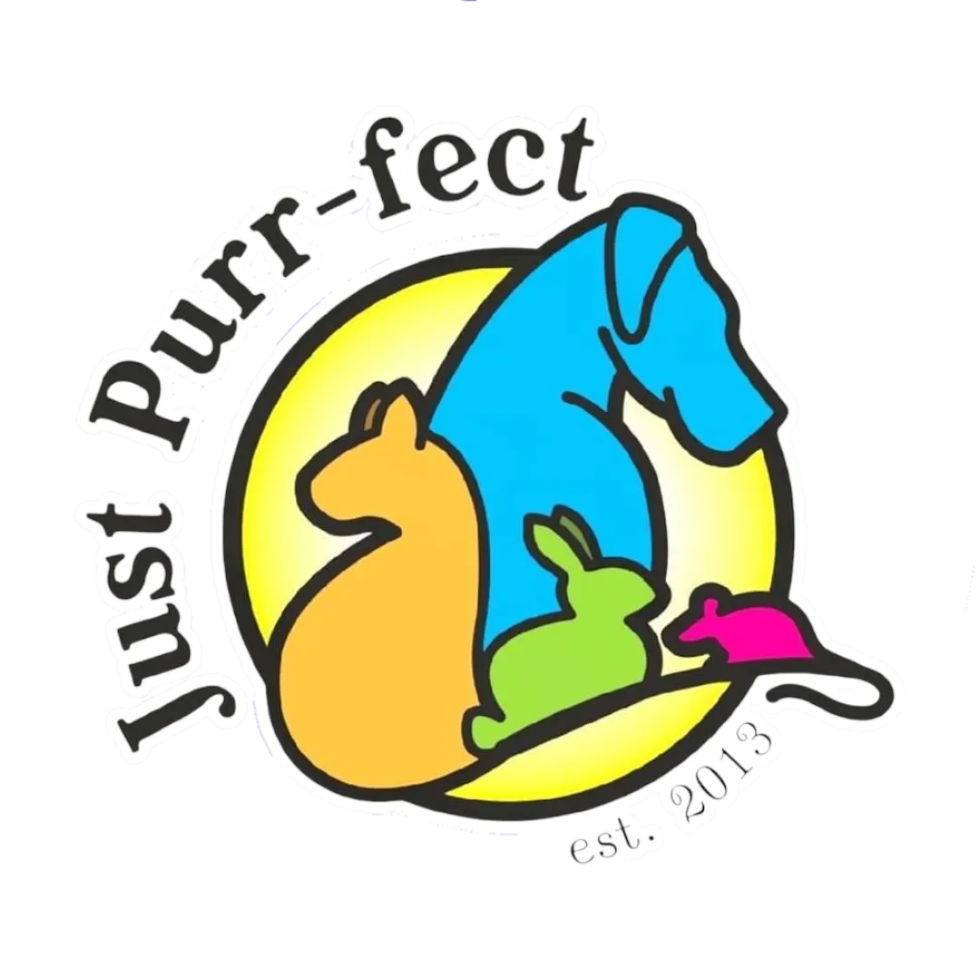 Just Purr-fect, Exmouth - Photo 1 of 7