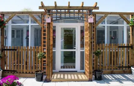 Longcroft Luxury Cat Hotel Flitwick, Bedford - Photo 1 of 3