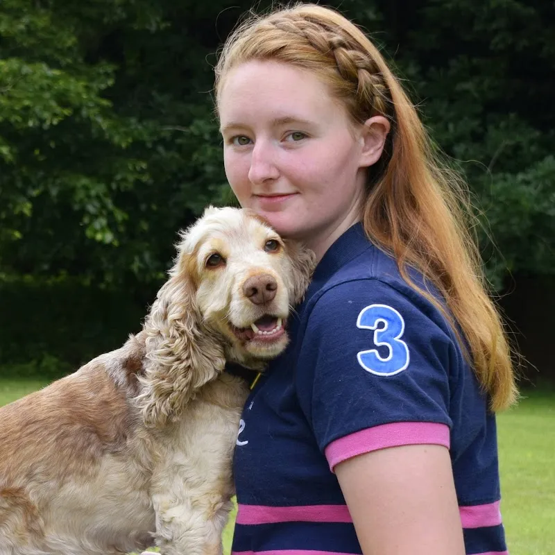 Woody's Boarding Kennels