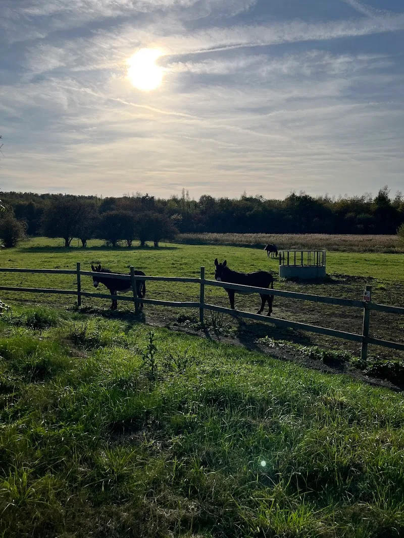 Old Flatts Farm Luxury Pet Retreat