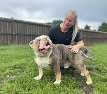 Highlands Dog Boarding Hotel MAIDSTONE, Maidstone - Photo 1 of 2