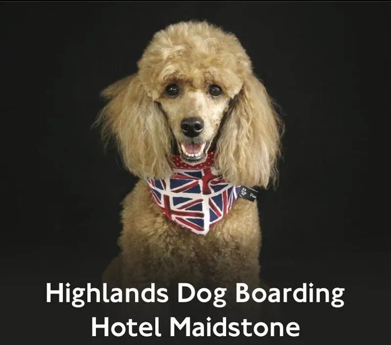 Highlands Dog Boarding Hotel MAIDSTONE