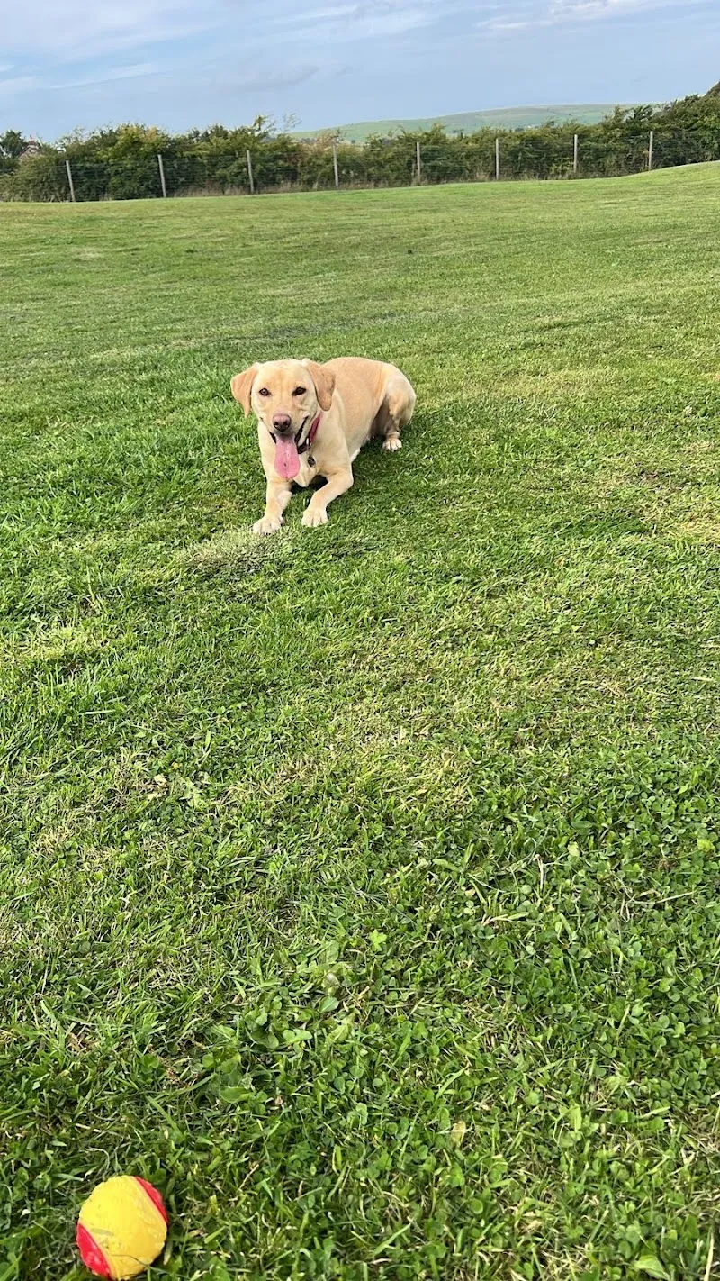 THE PEAK DOG RETREAT