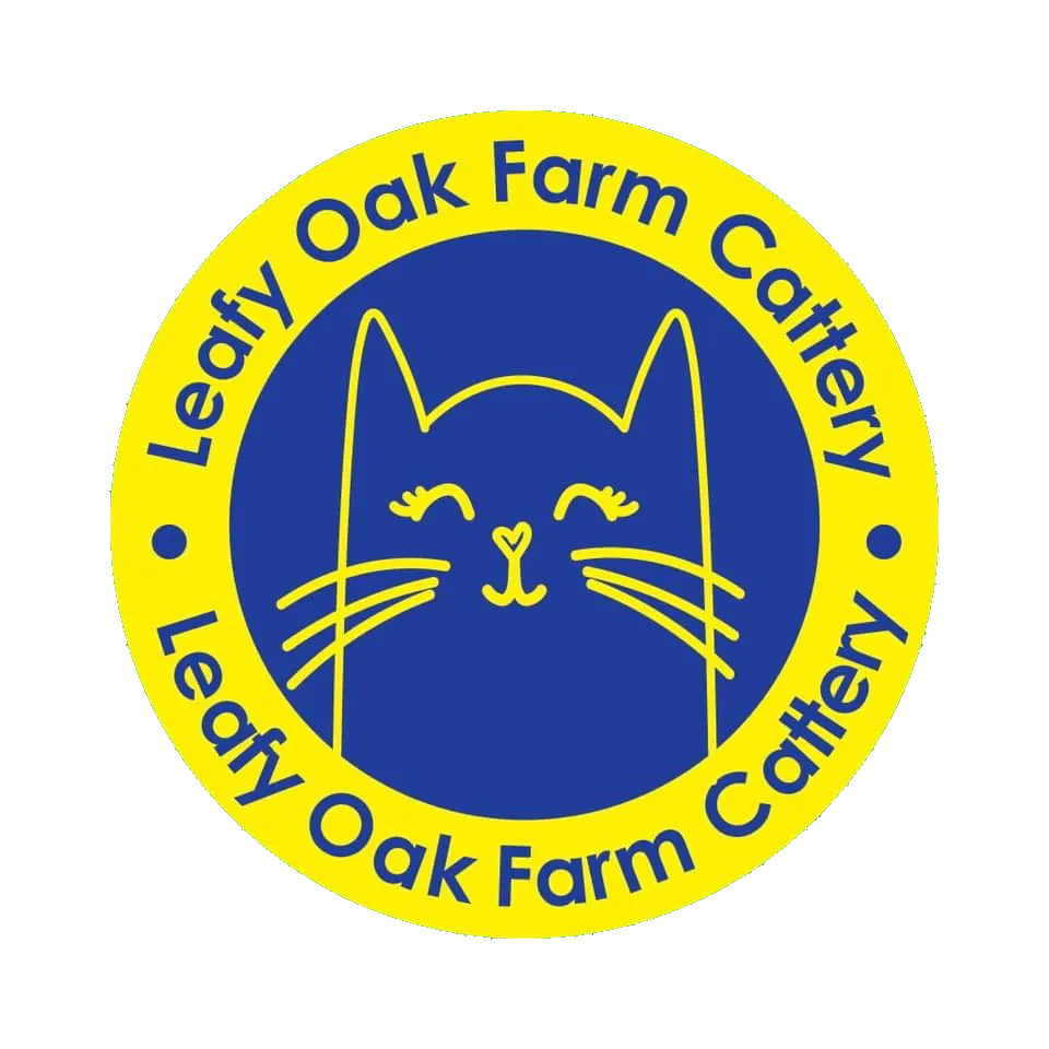 Leafy Oak Farm Cattery, Camberley - Photo 4 of 4