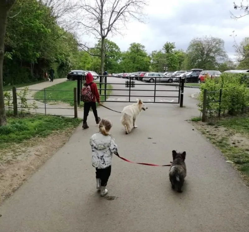 Essex Paw-sitters Club