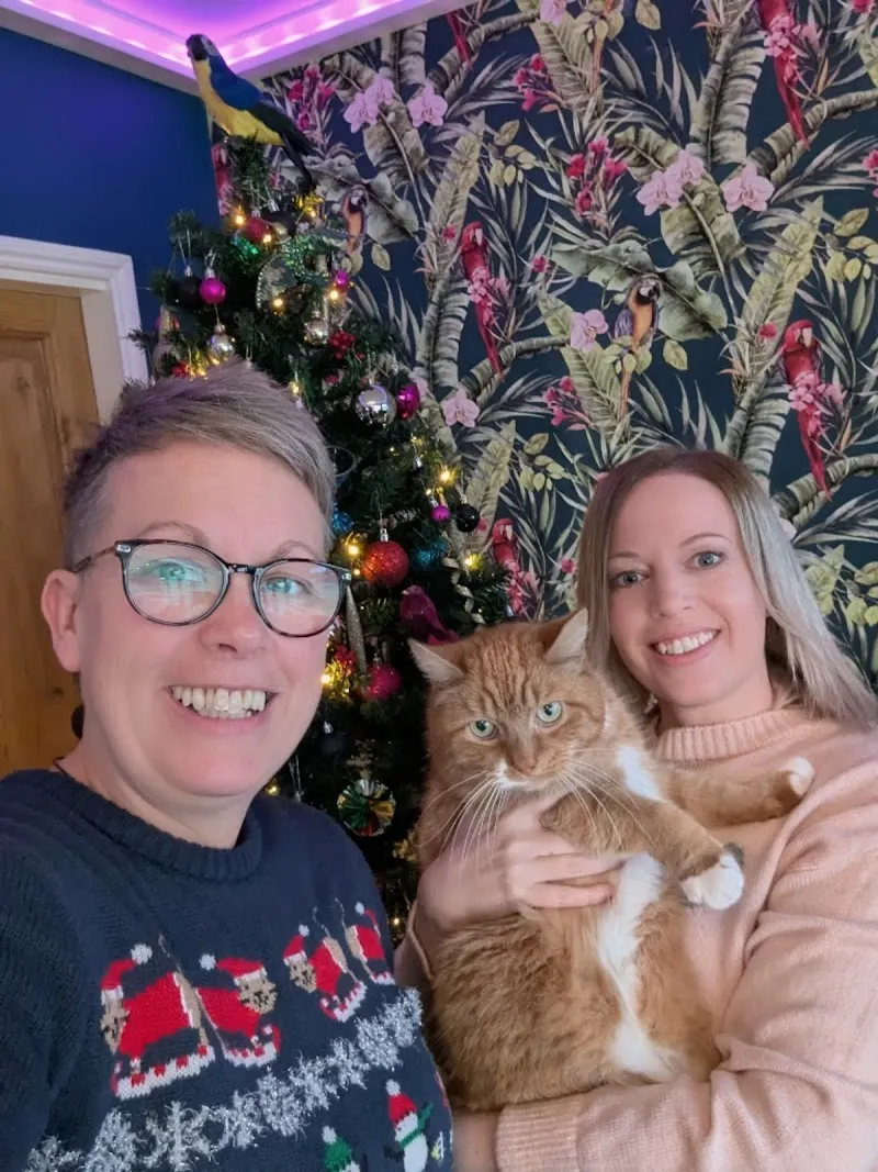 The Greenacres Cattery