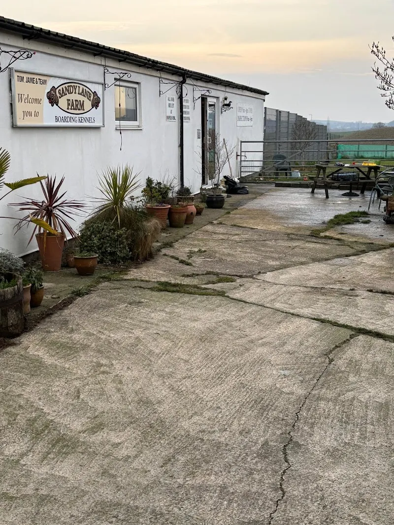 Sandy Lane Kennels And Cattery