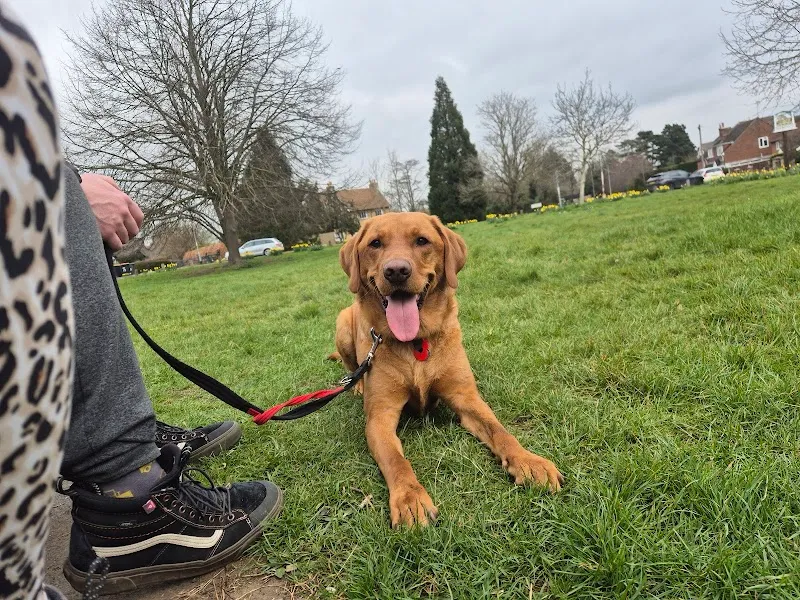 Hunters Lodge Country Boarding Kennels & Cattery