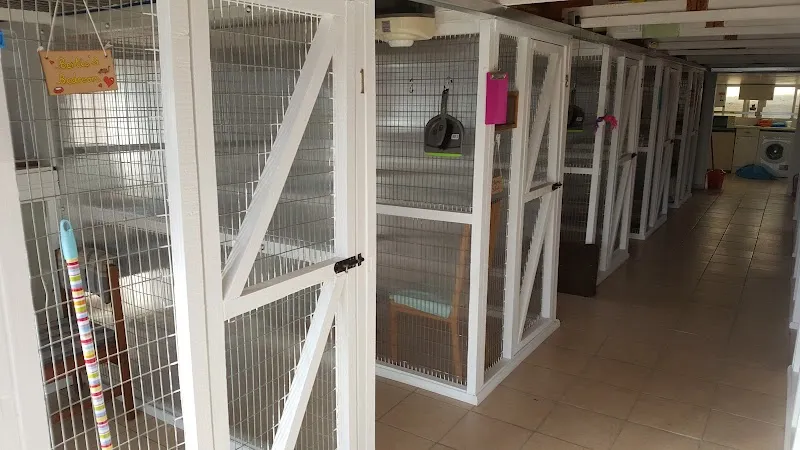 Paws by the Coast Boarding Cattery