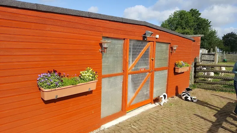 Paws by the Coast Boarding Cattery