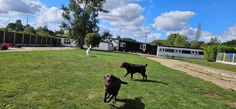 Ashingdon Heights Boarding Kennels