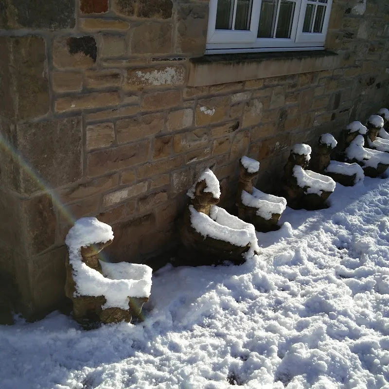 Lanchester Pet Resort