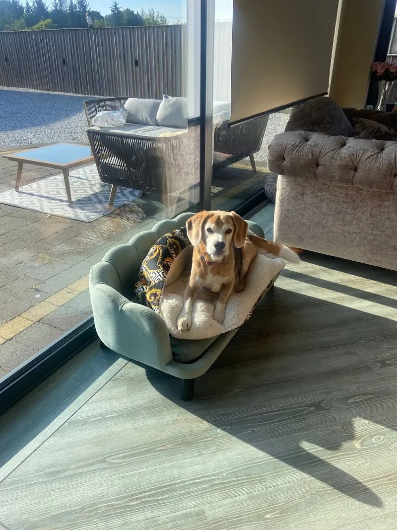 Paw Seasons Resort - Luxury Dog Day Care & Home Boarding Scotland