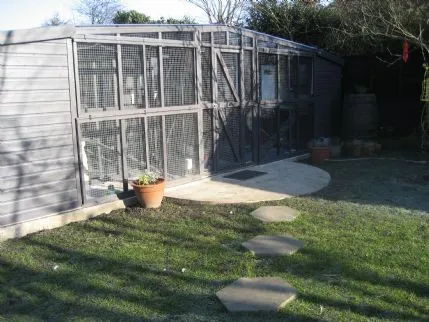Spondon Village Cattery, Derby - Photo 1 of 2