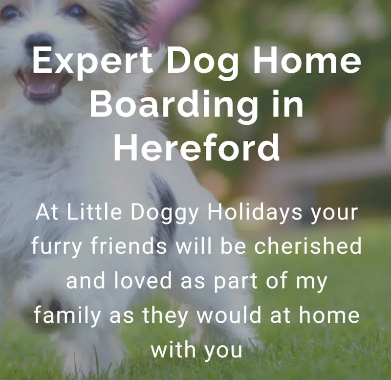 Little Doggy Holidays Dog Home Boarding