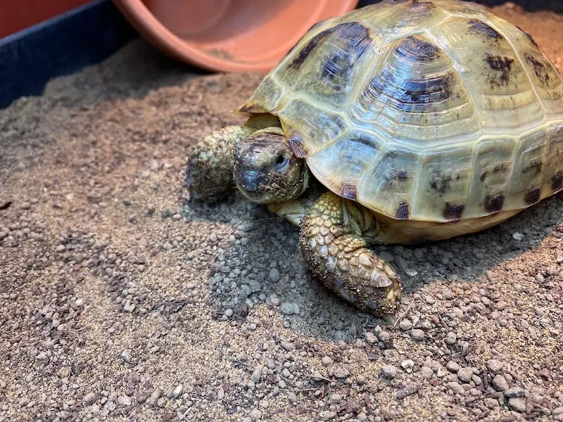 A-Z Exotics Pet Boarding