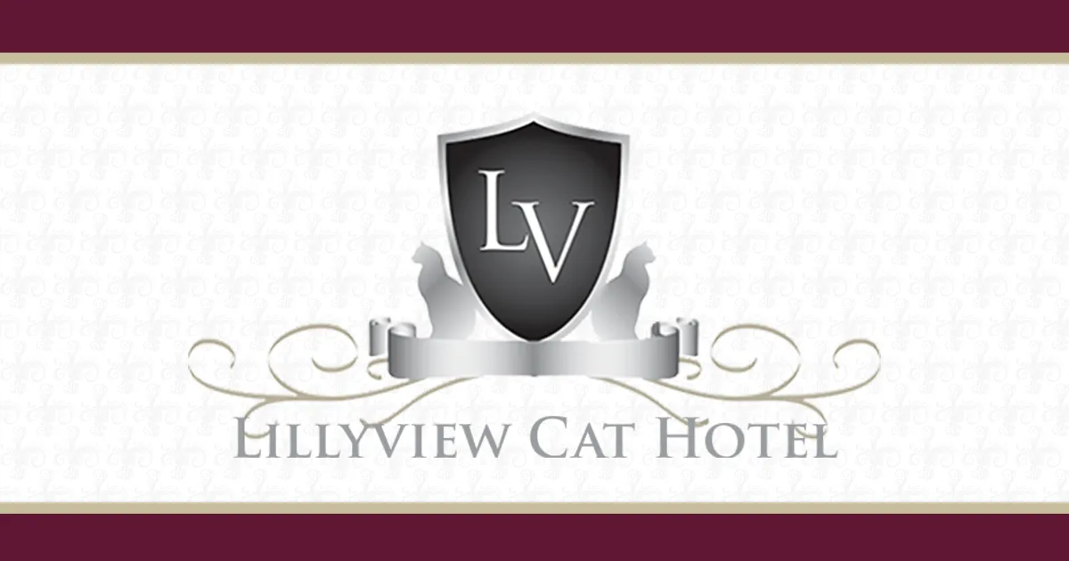 Lillyview Cat Hotel, Huntingdon - Photo 2 of 2