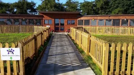 Abbotts View Farm Cattery, Aylesbury - Photo 1 of 5
