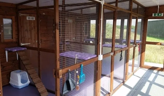 Abbotts View Farm Cattery, Aylesbury - Photo 4 of 5