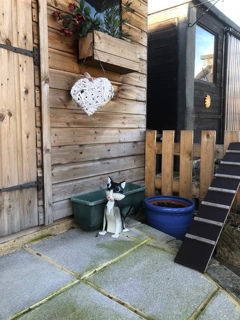 KozyKats Boarding Cattery