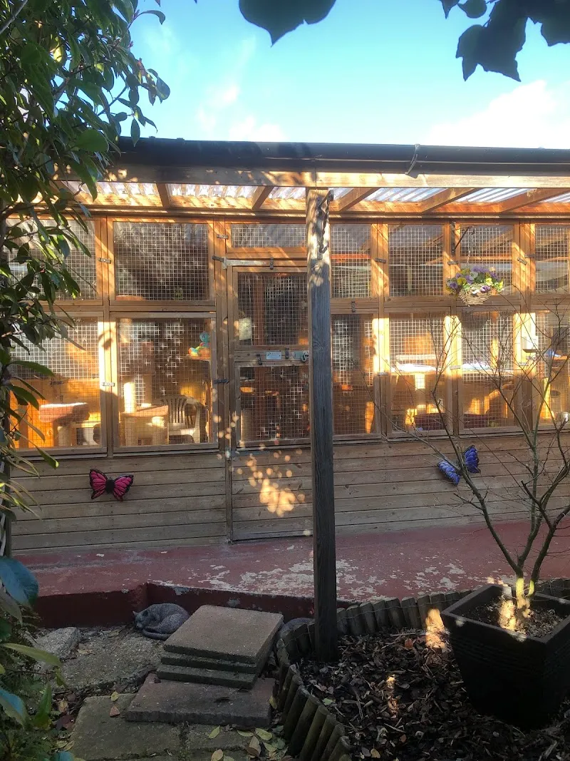 KozyKats Boarding Cattery