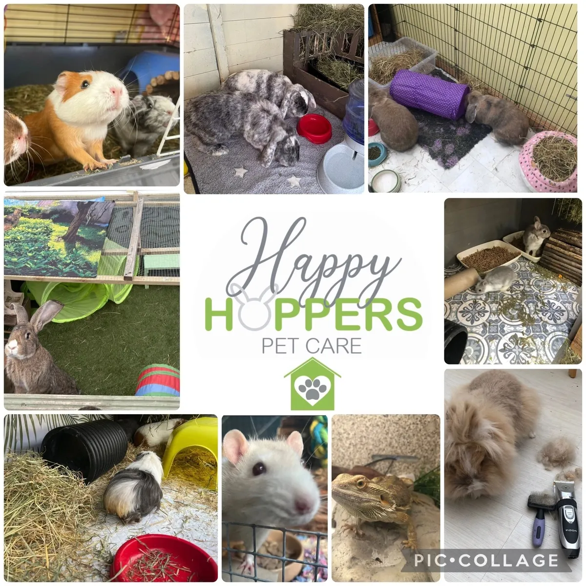 Happy Hoppers Pet Boarding & Care, Redditch - Photo 3 of 3