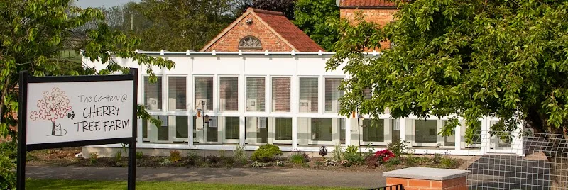 The Cattery @ Cherry Tree Farm