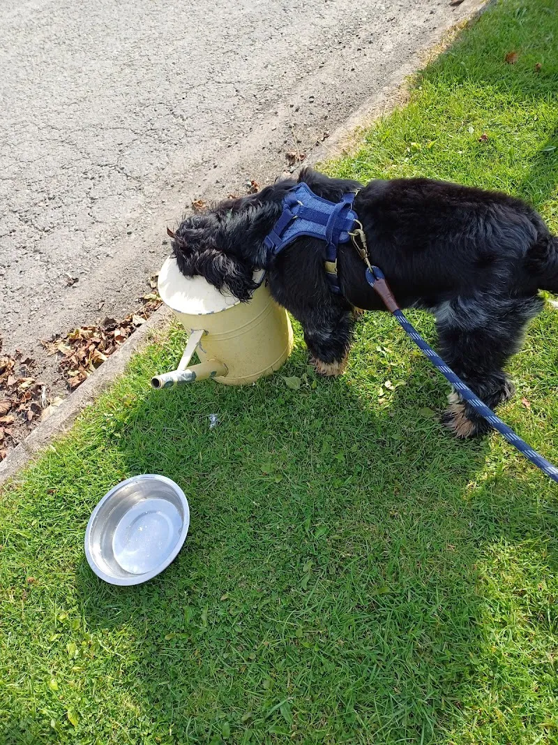 Stirling Dog Behavioural Centre