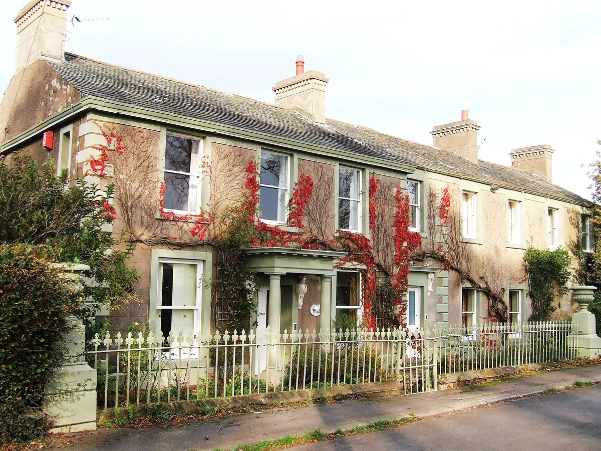 Longthwaite Cattery, Wigton - Photo 7 of 7