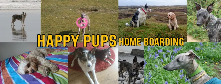 Happy Pups Home Boarding, Bridgend - Photo 3 of 3