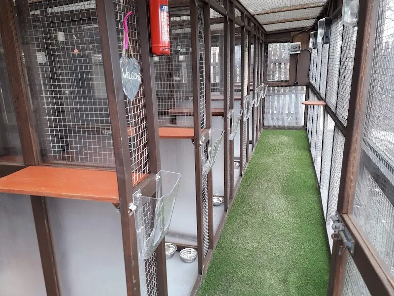 Green Lane Cattery