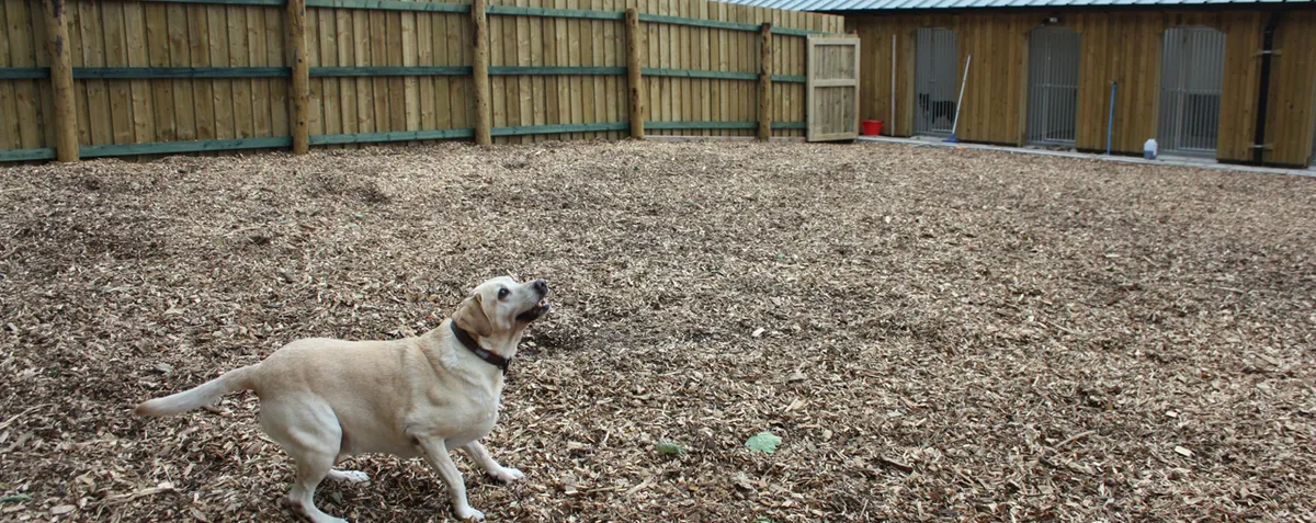 Higher Brookhouse Kennels, Buxton - Photo 3 of 5