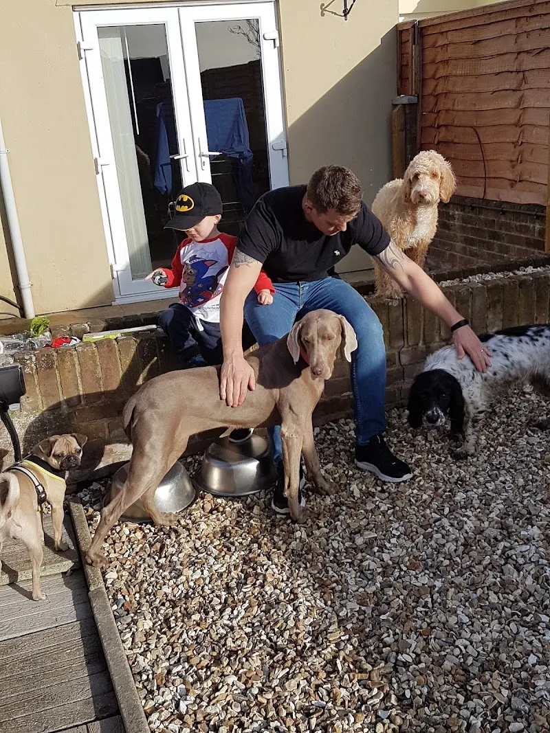 Barkingham palace and spa