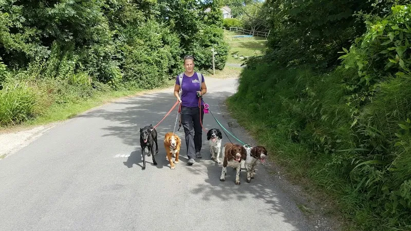 Barkingham palace and spa