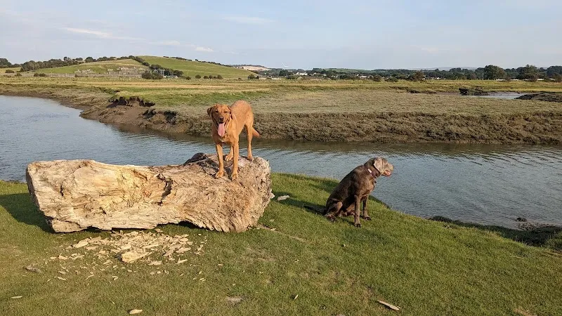 The Cattery @ Cotestones Farm