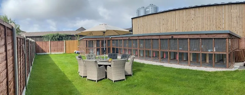 The Cattery @ Cotestones Farm