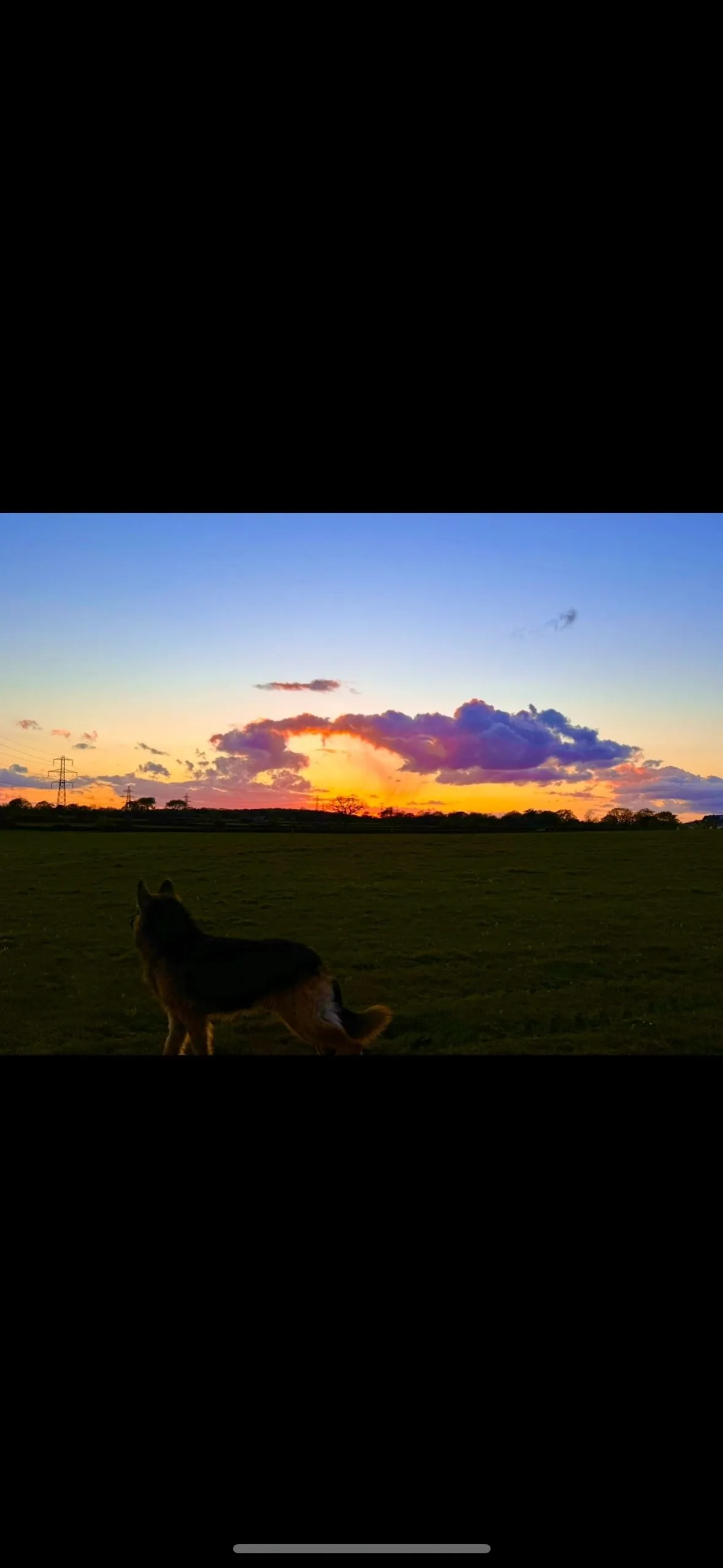 Braydon Dogs, Swindon - Photo 2 of 2