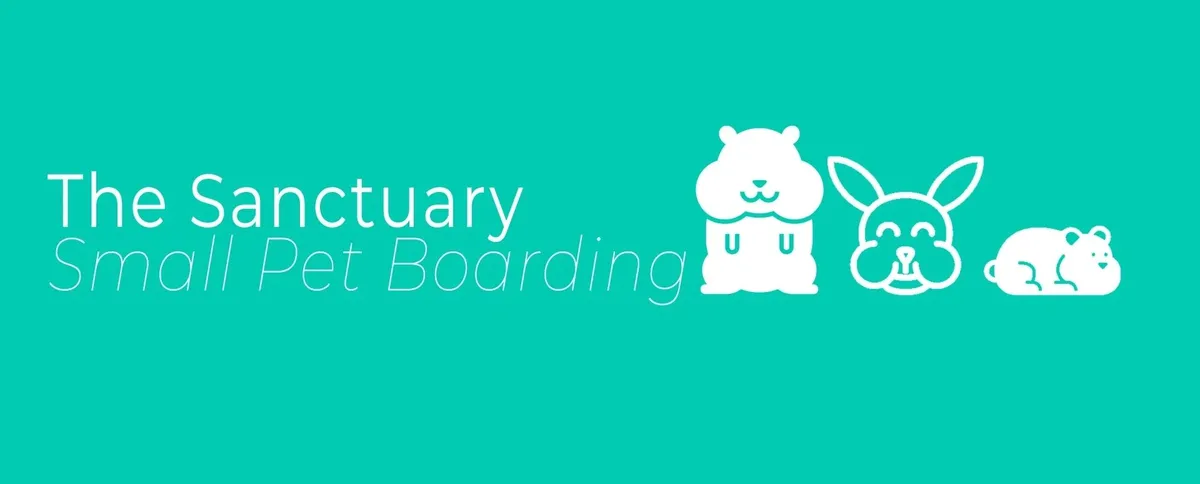 The Sanctuary: Small Pet Boarding - Image 2