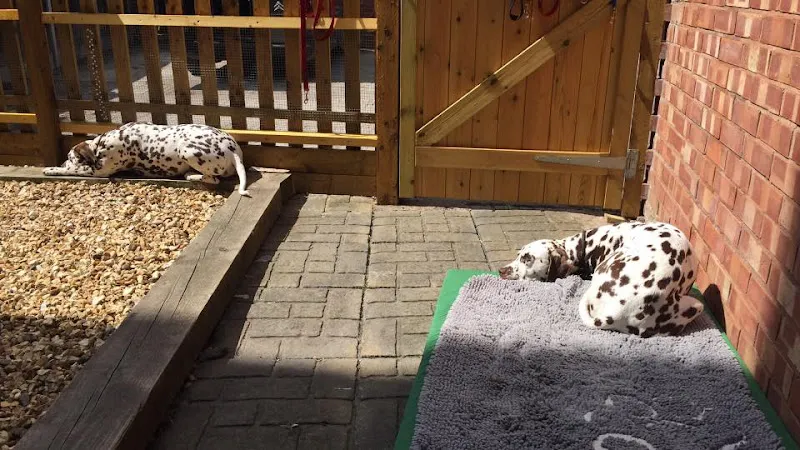 My Best Friend Dog Care Stafford, Stafford - Photo 1 of 2