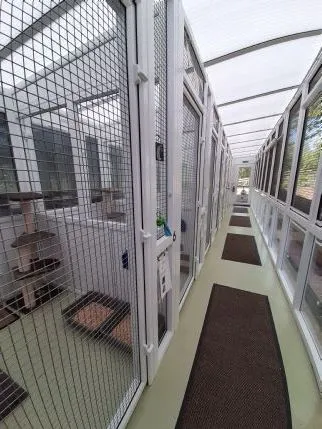 Woodside Luxury Cattery - Image 1