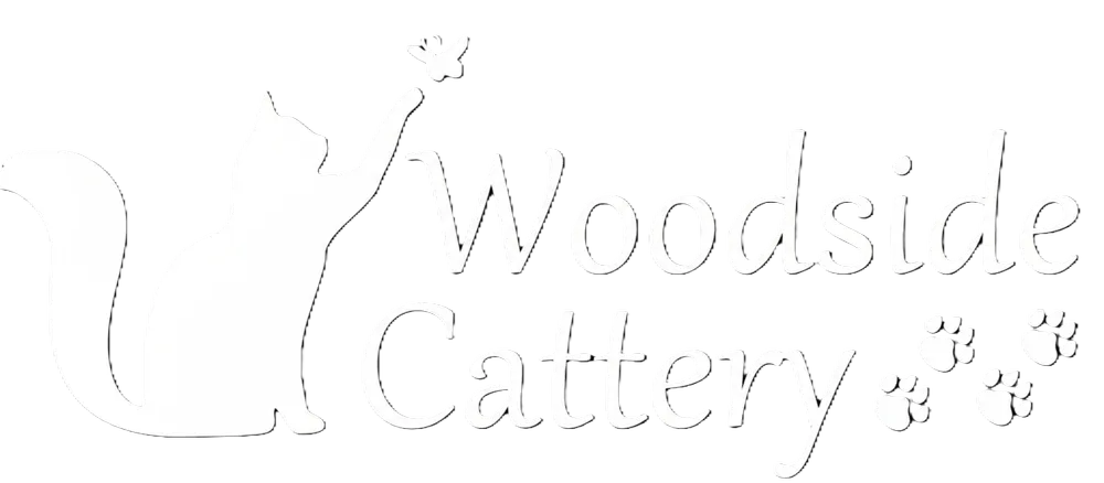 Woodside Luxury Cattery - Image 3
