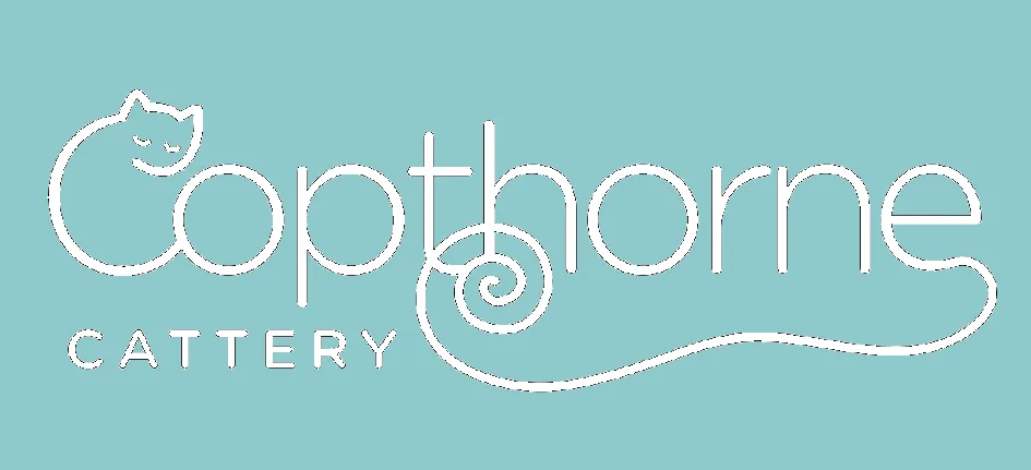 Copthorne Cattery, Bury - Photo 3 of 3