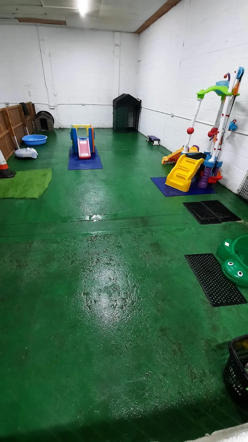 Liverpool Doggy Daycare