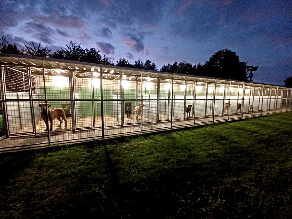 Boundary Kennels and Training Ltd - Photo 1