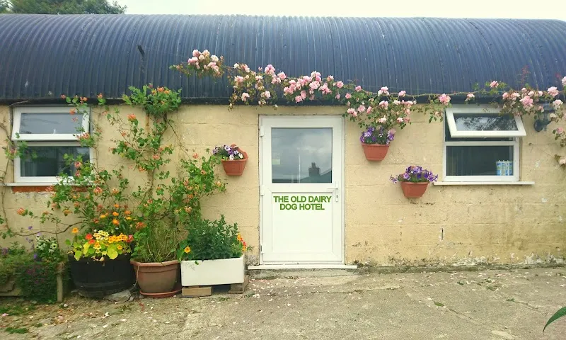 The Old Dairy Dog Hotel